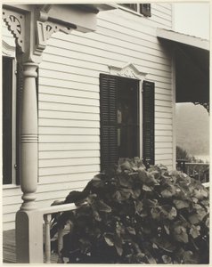 Casa e folhas de uva de Alfred Stieglitz