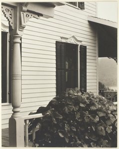 Casa e folhas de uva, 1934. de Alfred Stieglitz