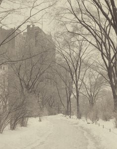 No parque de Alfred Stieglitz