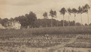 Nos subúrbios de Paris de Alfred Stieglitz