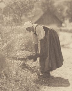 Interrompido de Alfred Stieglitz