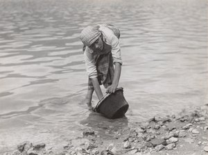  de Alfred Stieglitz