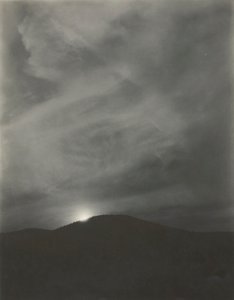 Floresta. de Alfred Stieglitz