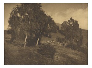 [Paisagem, Tirol]. de Alfred Stieglitz
