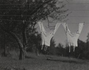  de Alfred Stieglitz