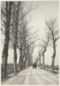 Dias de novembro de Alfred Stieglitz