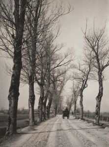 Dias de Novembro de Alfred Stieglitz