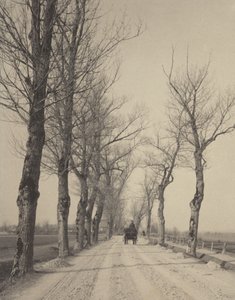  de Alfred Stieglitz