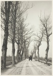 Dias de novembro de 1887, impresso em 192039. de Alfred Stieglitz