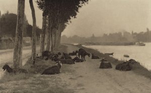 No Sena — Perto de Paris de Alfred Stieglitz