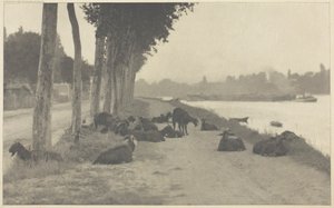No Sena - Perto de Paris, 1894, impresso em 1897. de Alfred Stieglitz