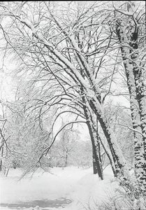 Snowscape, Berlim, 188892. de Alfred Stieglitz