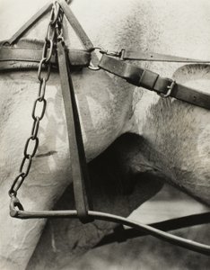 América Espiritual: Canções do Céu A1 de Alfred Stieglitz