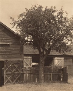  de Alfred Stieglitz