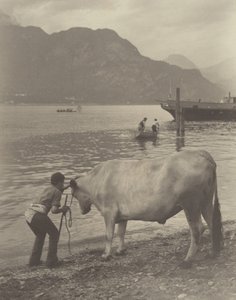 O Banho Relutante de Alfred Stieglitz