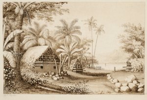 Túmulos na ilha de Muthuata, Fiji (wc no papel) de Alfred Thomas Agate