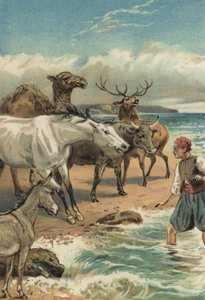 Noites Árabes: A História De Beder E Giauhare