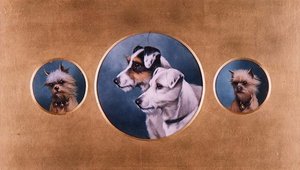 Fox Terriers e Yorkshire Terriers de Alfred Wheeler