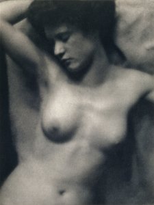 O Torso de Alfred and White Clarence Stieglitz