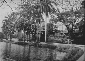 Kandy - um canto pitoresco do lago, c1890, 1910
