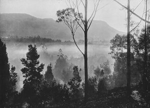A névoa do amanhecer subindo em Nuwara Eliya, c1890, 1910