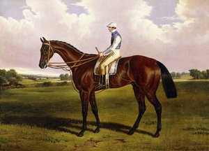 Bloomsbury, um cavalo de corrida da castanha com Sam Templeman, em uma paisagem,