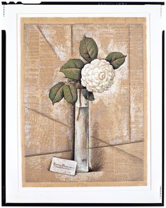 Gardenia em vidro, c.1936 (guache, aguarela e giz sobre papel de jornal)