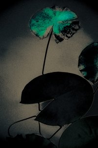 Emerald Spring, da série Spring, 2020 (fotografia pintada à mão)