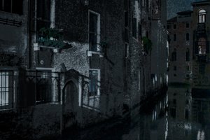 Moonshadows, Veneza, 2018 (fotografia repintada à mão)