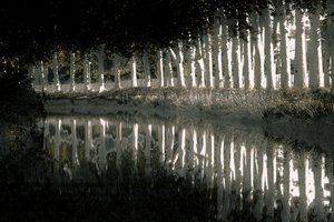 Rendering, 2018 (fotografia pintada à mão)