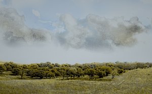 Tarde da Sicília, 2018 (fotografia repintada à mão)