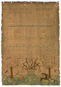 Sampler de Alice Pearlee