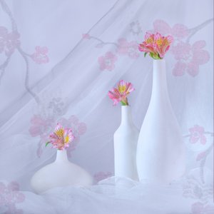  de Alice Sheng