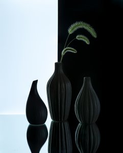  de Alice Sheng