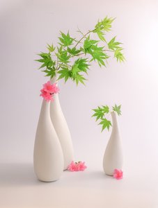  de Alice Sheng