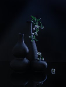  de Alice Sheng