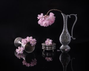  de Alice Sheng