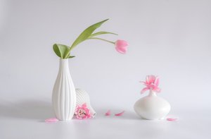  de Alice Sheng