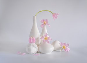  de Alice Sheng