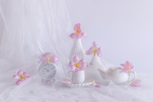  de Alice Sheng