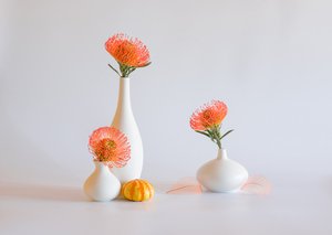  de Alice Sheng