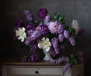  de Alina Lankina