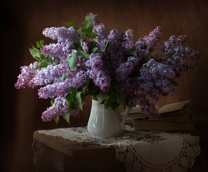  de Alina Lankina