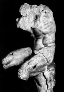 The Belvedere Torso by Apollonios of Nestor, c.1890 (foto a p/b) de Fratelli Alinari