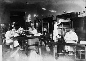 Villa Rosa Maltoni Mussolini: estudando na biblioteca (foto a p/b) de Fratelli Alinari