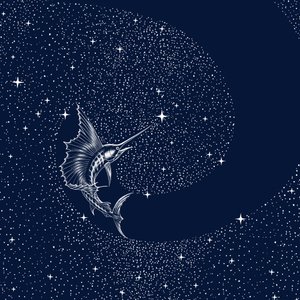 Peixe-vela celestial de Alirıza ÇAKIR