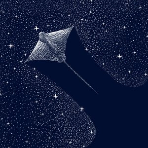 Raia-águia Cósmica de Alirıza ÇAKIR