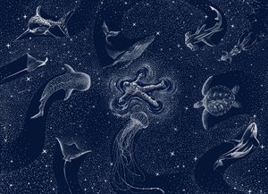 Sonho do Oceano Cósmico de Alirıza ÇAKIR