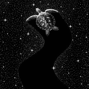 Tartaruga Marinha Cósmica de Alirıza ÇAKIR