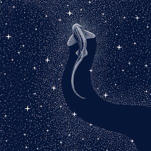 Tubarão Cósmico de Alirıza ÇAKIR